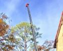 We can remove any kind of tree from your yard big or small! And with our 40 ton terex crane, you can count on the job getting done efficiently. 
