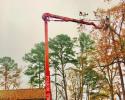 That's a statement we fully stand behind. Our HD Track Lift reaches heights of up to 105 feet! So you can count on us to remove even the tallest trees! 