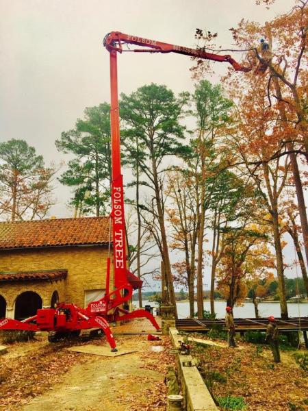 That's a statement we fully stand behind. Our HD Track Lift reaches heights of up to 105 feet! So you can count on us to remove even the tallest trees! 