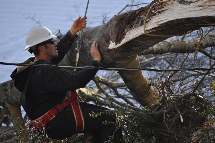 One area of services we focus on is storm damage tree service! Day or night, you can call us and we will get to work to safely remove any trees or debris that may have fallen on your roof, yard or power lines. 