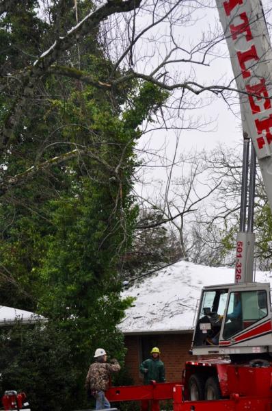 Day or night, when you call us for storm damage services, we're on on our way. We can remove fallen trees, limbs from your roof, debris and more! 
