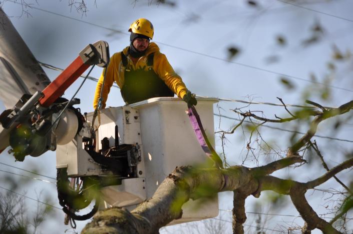 With machinery like our Altec bucket truck, we can reach heights as tall as 60 feet. Our guys can get to excess tree limbs obstructing your home or power lines easily! 