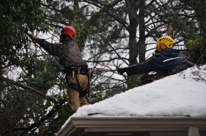 Part of what really sets us apart from your average tree service is our advanced communication systems. All our workers are connected to a headset that allows them to be in constant communication with one another. 