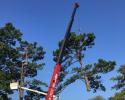 We are one of the leading tree services in the state of Arkansas that provides the absolute best equipment around. In fact, we are the first and only tree service company to own the Italian-made CMC 105 HD Track Lift! 