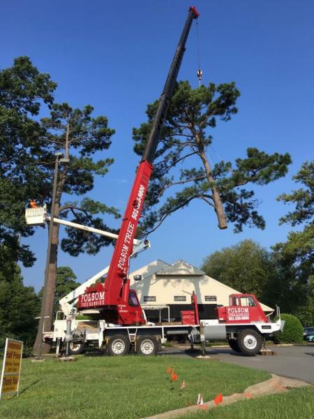 We are one of the leading tree services in the state of Arkansas that provides the absolute best equipment around. In fact, we are the first and only tree service company to own the Italian-made CMC 105 HD Track Lift! 