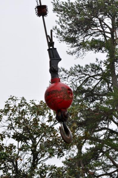 Our 40 ton crane can lift even the most massive trees! 