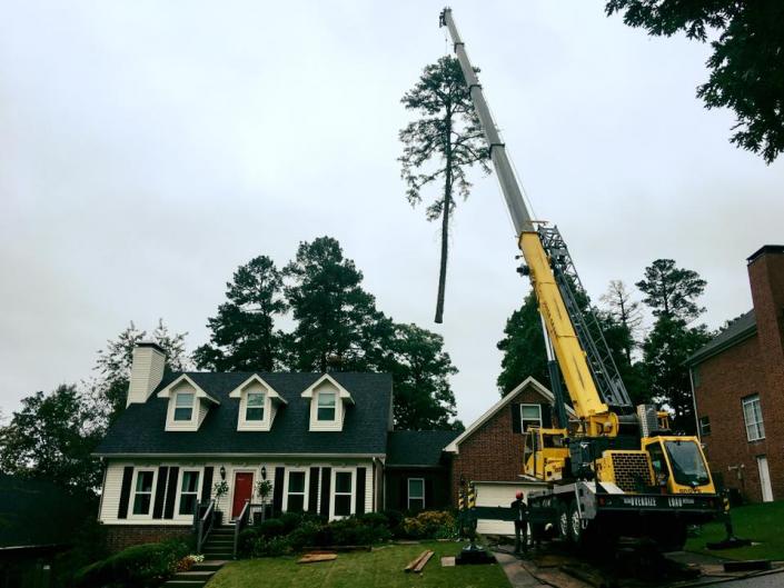 We can't stress enough that no job is too big or small for us. And you can always count on quality. When we remove your trees, we'll leave your yard cleaner than it was before. That's right. And we may trim up a few other trees while we're at. Because that's just how we do business. 