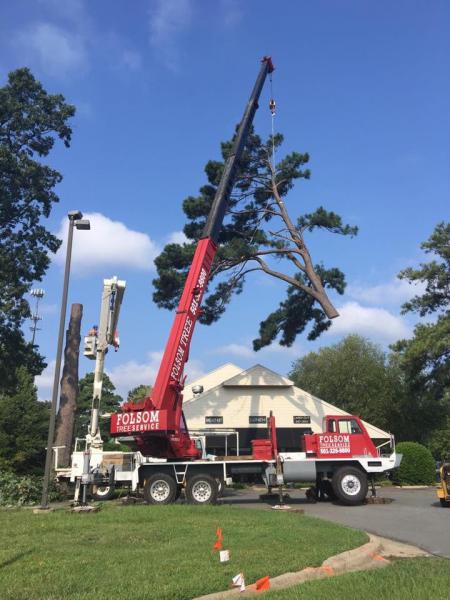 Never worry again about your home or business being damaged during a tree removal. At Folsom's we utilize a technique in which we cut large trees into sections and safely remove them from the area one piece at a time. 